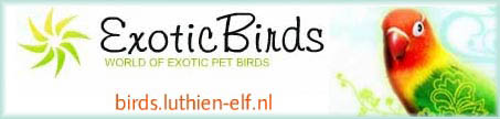 Birds.luthien-elf.nl banner
